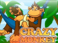 Crazy Monkey